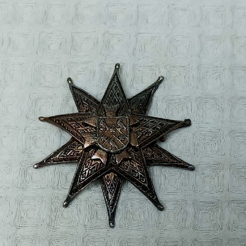 Vintage 2 Tone 10 Point Star and Crest Bronze Tone and Silver Tone Brooch
